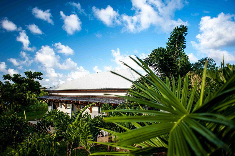 French Coco Hotel La Trinité Exterior foto